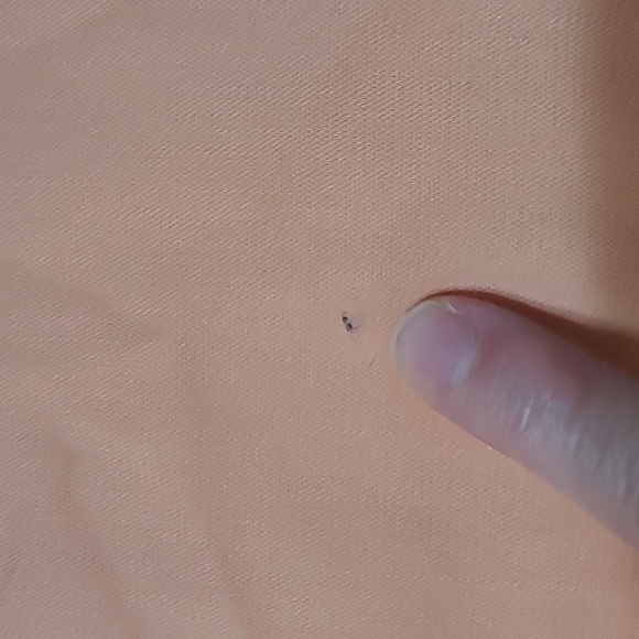 💥3for$12💥 Van Heusen men's Lux Sateen button-up dress shirt size 16.5 32/34 - Picture 5 of 6